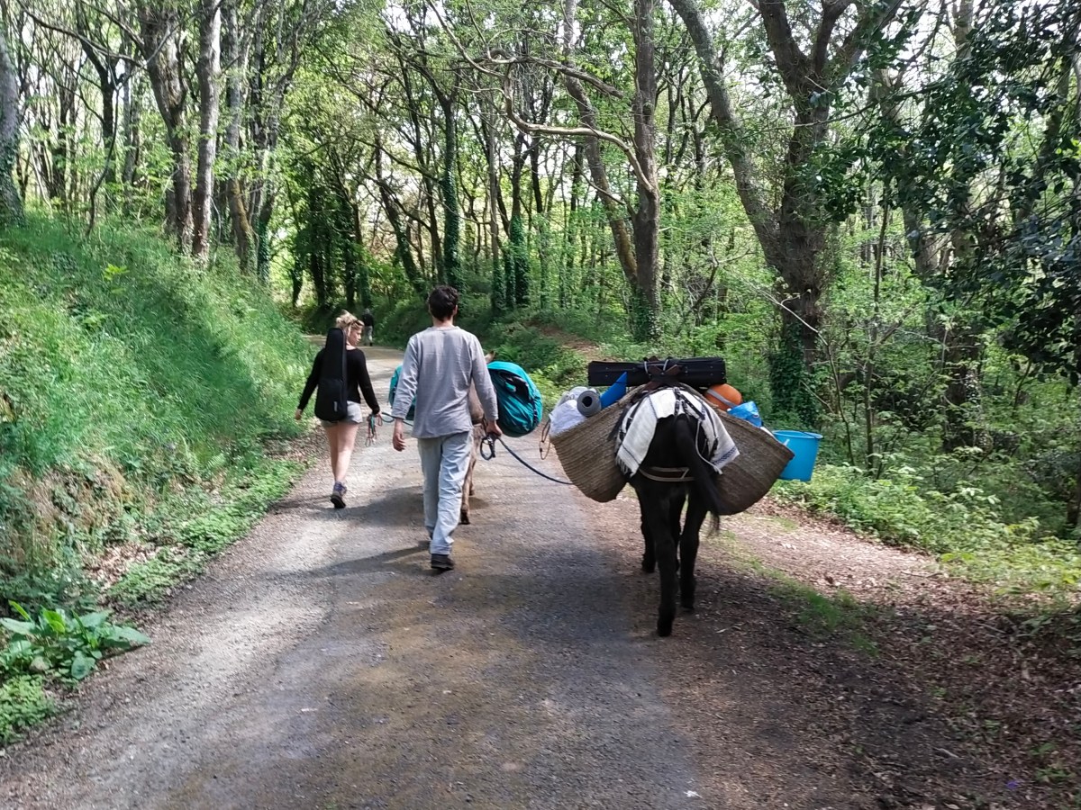 Retour de boucle&nbsp;!