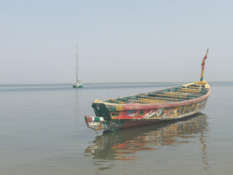 Florilège d’infos concernant le Sénégal via notre prisme de toubabs&nbsp;français.